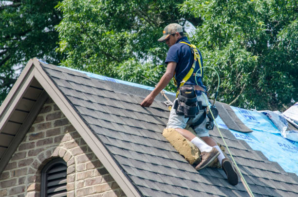 Best Roof Leak Repair  in Conrad, IA